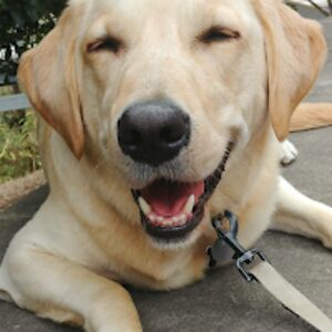 katherineserbinowski avatar