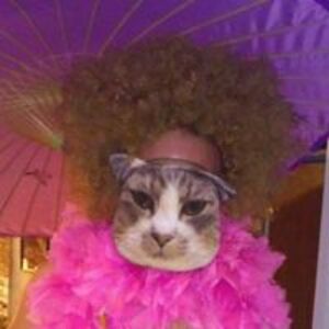 higgybiggyheybeef avatar