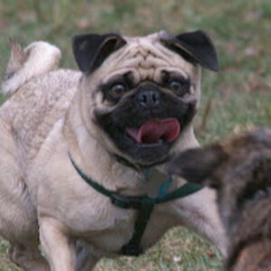 heatherlambert avatar