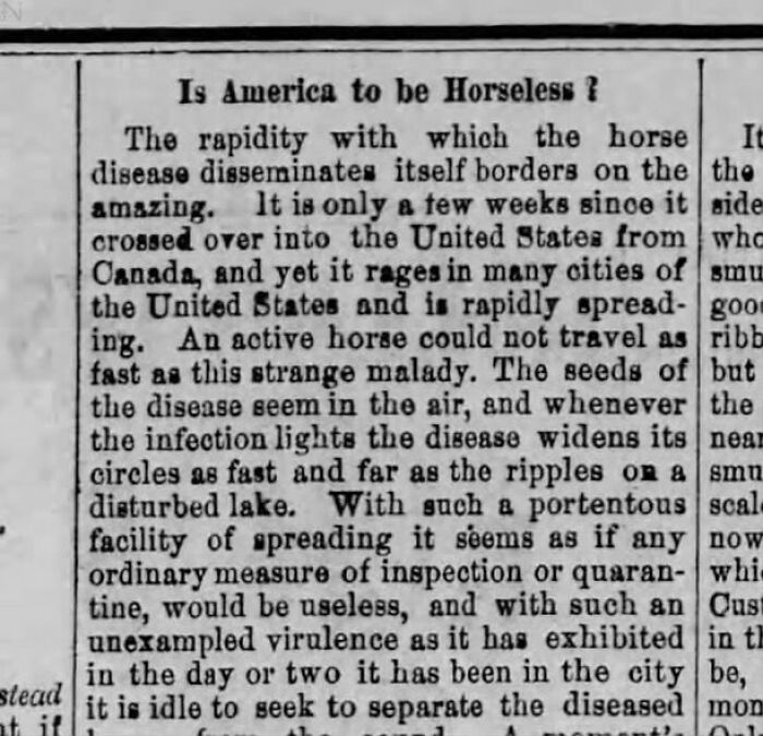🐴 Is America To Be Horseless? (1872)