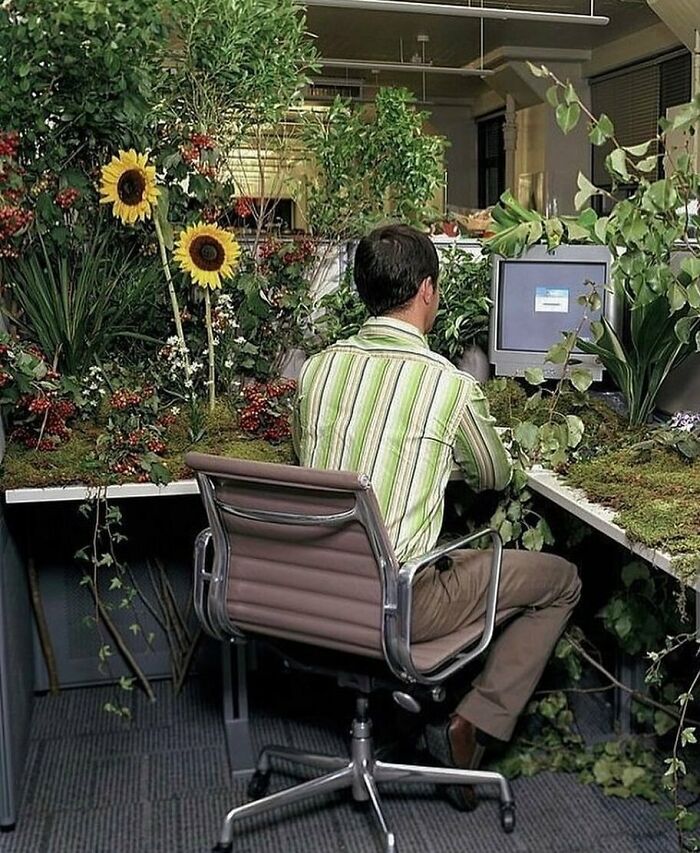 Éco Futurist From The Past
getty Images 2005
#ecofuturism #ecology #ecologie #plants #desksetup #desk #flowers