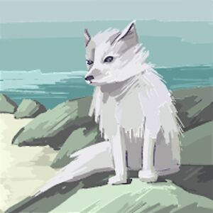 ronikaamirahmadi avatar