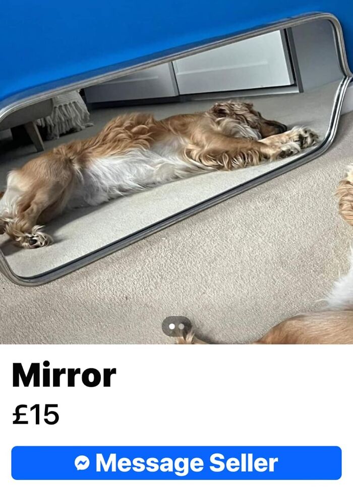 Mirror With Lion