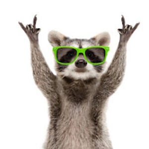 jeffreidenbach avatar