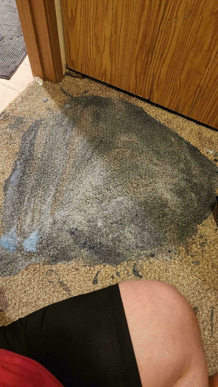 My Roommate Knocked A Giant Bottle Of Laundry Detergent On The Carpet. This Is After We Wiped Up As Much As We Could With Paper Towels. How Do We Fix? Help?!?!?