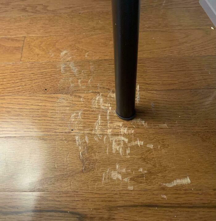 Help Me Fix Apartment Floor Damage From Bed Fame