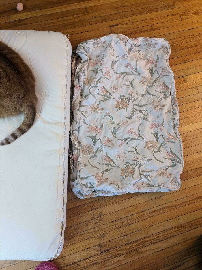 Probably Hopeless, But This Couch Cover Shrunk In The Wash