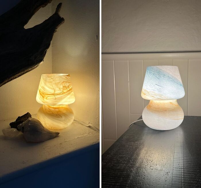 Fungus Among Us: Ambient Lighting With A Twist