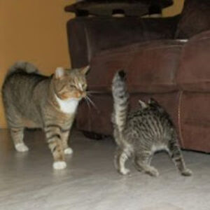 geertjevanwijhe avatar