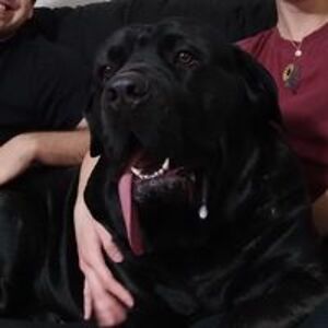 leilani_talty avatar