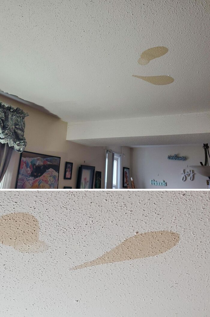 What Are These Spots That Keep Reappearing On My Apartment Ceiling? The Ceiling Doesn't Feel Soft Or Wet