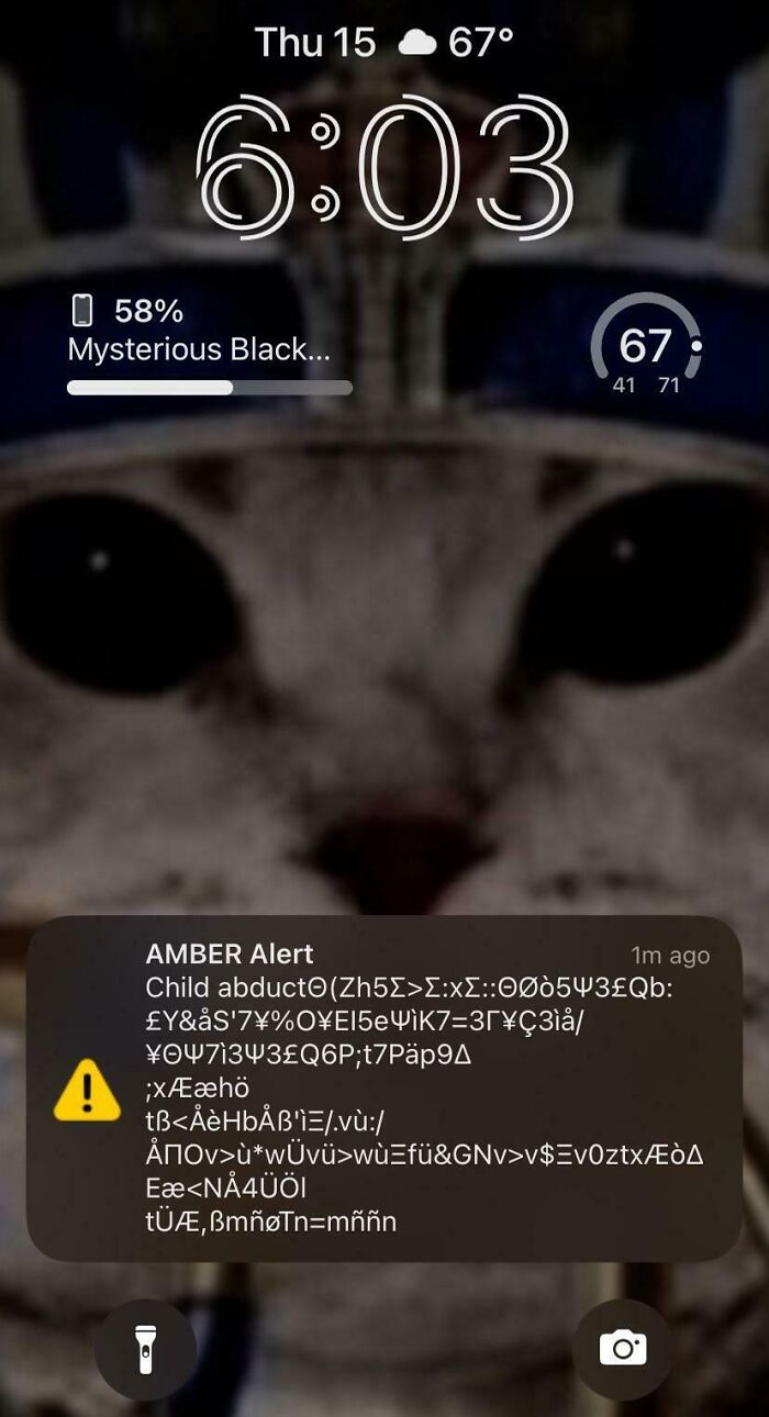 I Heard The Amber Alert Sound And Grabbed My Phone Only To See This