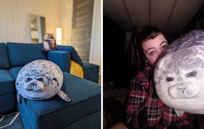 Seal The Deal With Cuddles - Dive Into Comfort With Chubby Blob Seal Plush