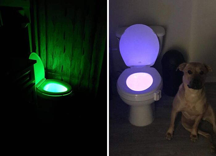 Seat Shine: The LED Toilet Light For Midnight Missions