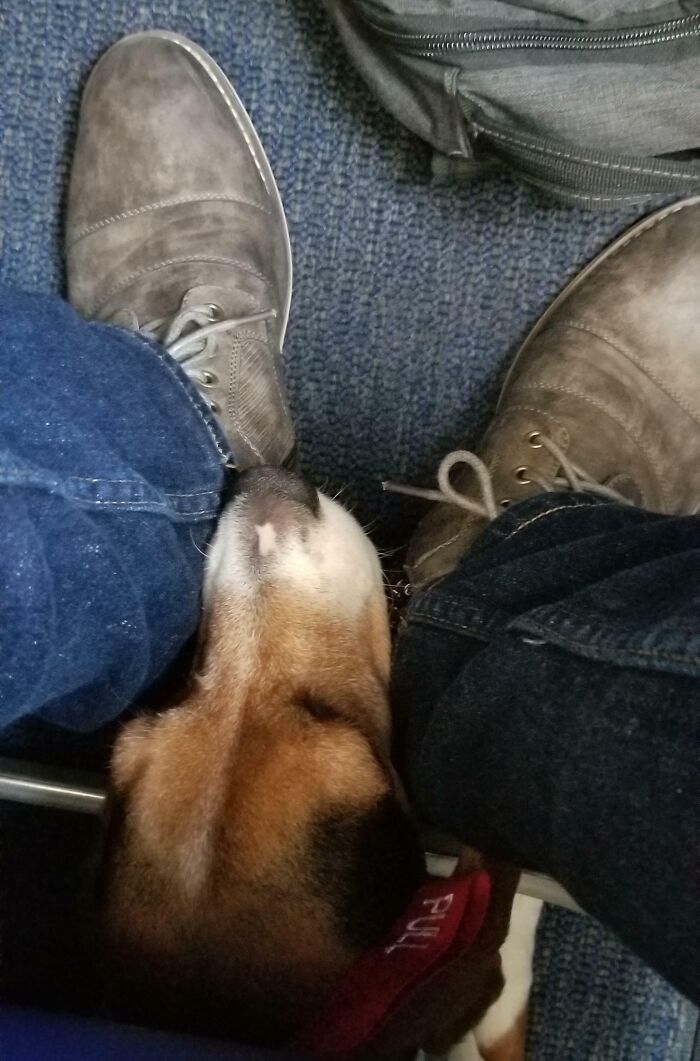 I Was Surprised With An Unexpected Guest On My Flight