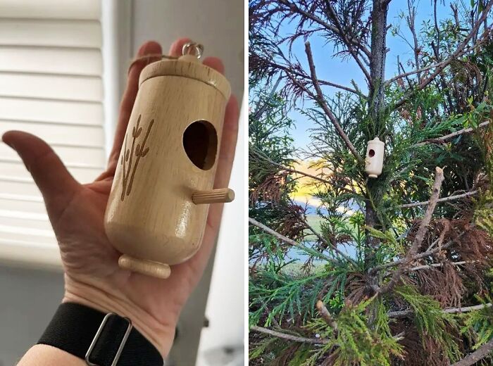 Watch Hummingbirds Settle In With This Charming Little Garden Nesting House 