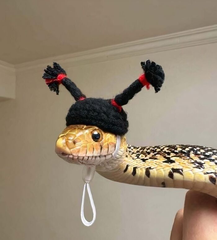 Snakes Definitely Look A Lot Less Scary If You Make Them A Hat