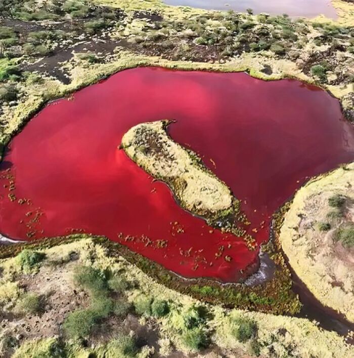 Blood-Red Alkaline Lake In Kapedo, Turkana County