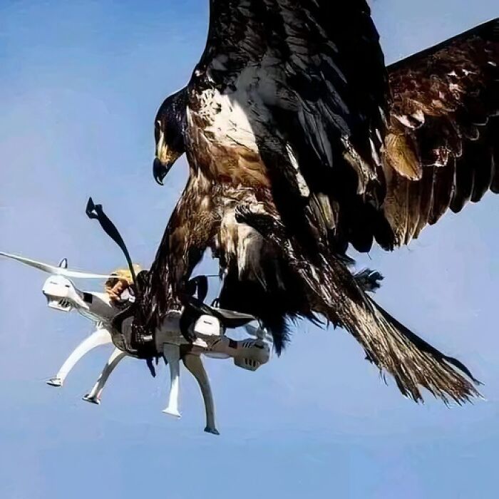 The Photo Of The Century. Nature Defeats Technology