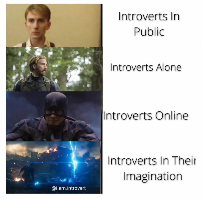 Funny-Introvert-Memes-Winningintroverts