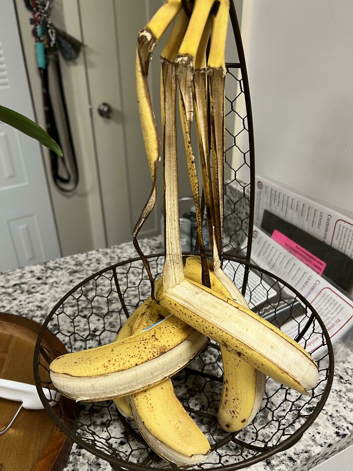 Todos mis plátanos se han pelado solos durante la noche