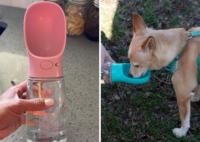 Quench Your Pup's Thirst Anywhere With The Dog Water Bottle: Your Trusty Hydration Solution For Furry Picnic Companions