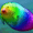 cherrieblossom avatar