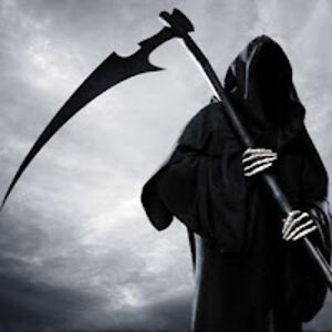 heinrichevers avatar