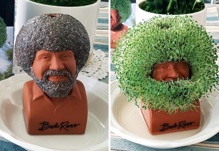 Now We Can Literally Watch Bob Ross Grow With A Chia Pet Bob Ross. Grow, Little Fro, Grow