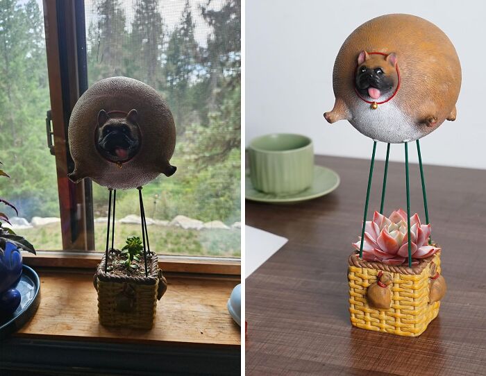 Paws & Plants: Soar High With Hot Air Balloon Dog Planters