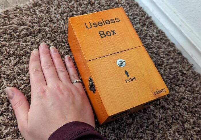 The Ultimate Anti-Tasker: The Useless Box - Because Sometimes Doing Nothing Is Everything You Need