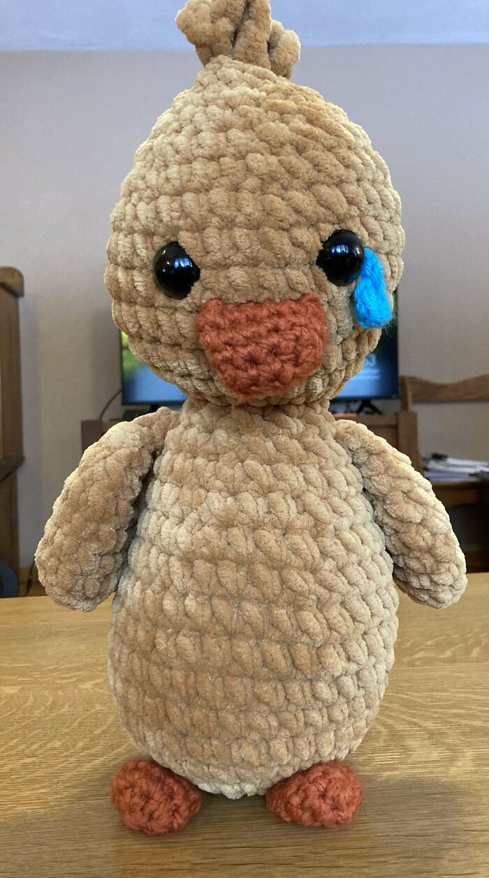 My Daughter Asked For A Sad Duck 🦆 I Think I Delivered 😆