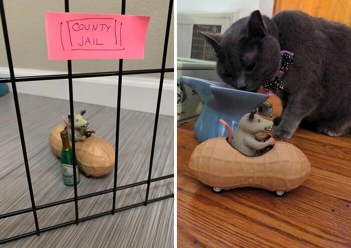 Go Nuts For Speed: Mcphee’s Archie Possum And The Peanut Express