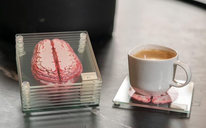 Cerebral Sips: Brainy Coasters For The Thoughtful Drinker