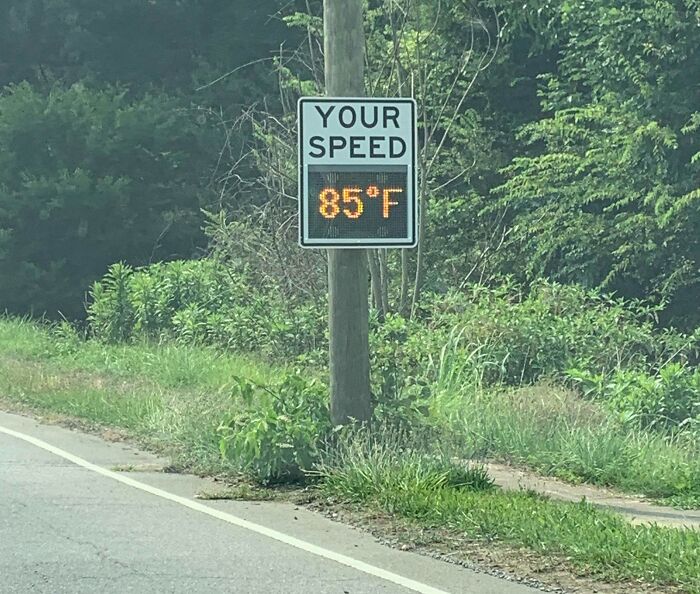 Your Speed Is What?