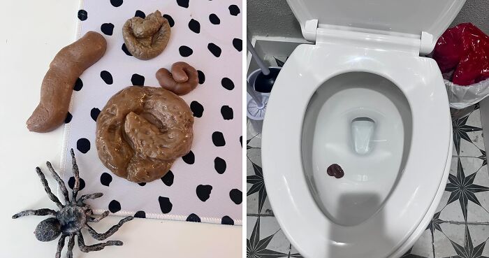 Get The Scoop On Chivao’s Superb Scoop Of Poop