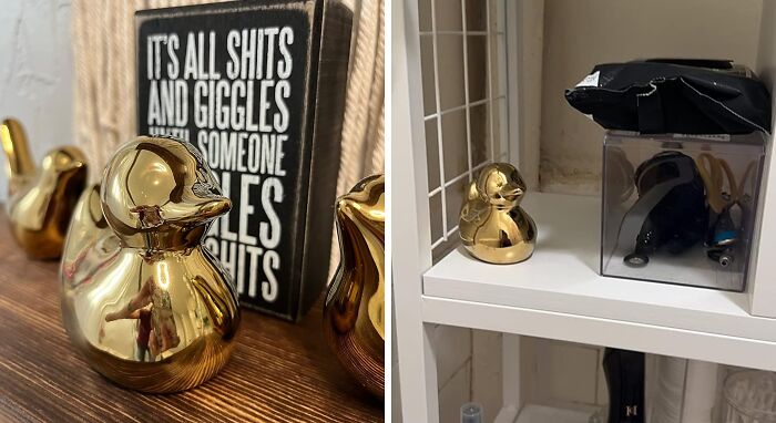 Pond To Living Room - Gilded Ducks That Make Decor Bloom