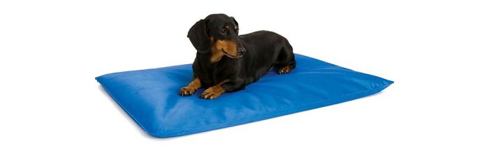 K & H Pet Products Cool Bed 3
