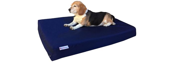 Dogbed4less Memory Foam Gel Cooling Bed
