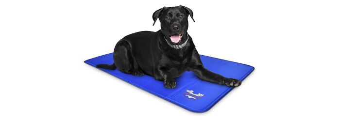 Arf Pets Dog Cooling Mat