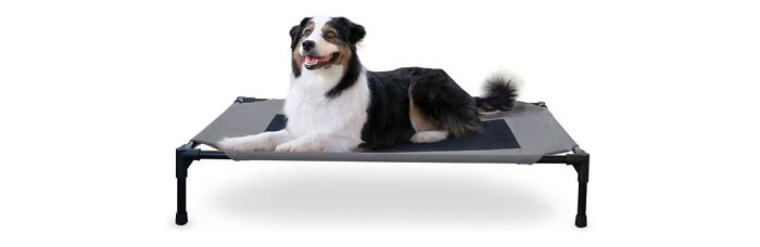 K&h Pet Products Cooling Elevated Dog Bed
