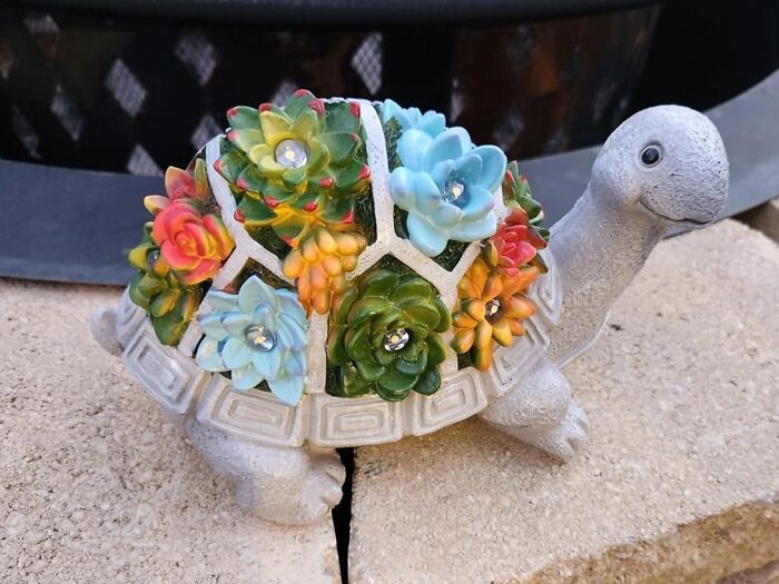 Bask In Solar Serenity With Solar Turtle With Succulent: A Radiant Fusion Of Light And Lush Greenery