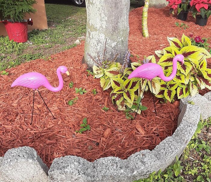 Embrace Whimsy With Pink Flamingo Yard Decor: A Splash Of Fun For Your Outdoor Haven