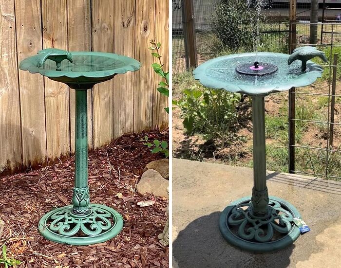 Upgrade Your Backyard With The Birdbath: Where Feathered Friends Gather In Tranquil Harmony