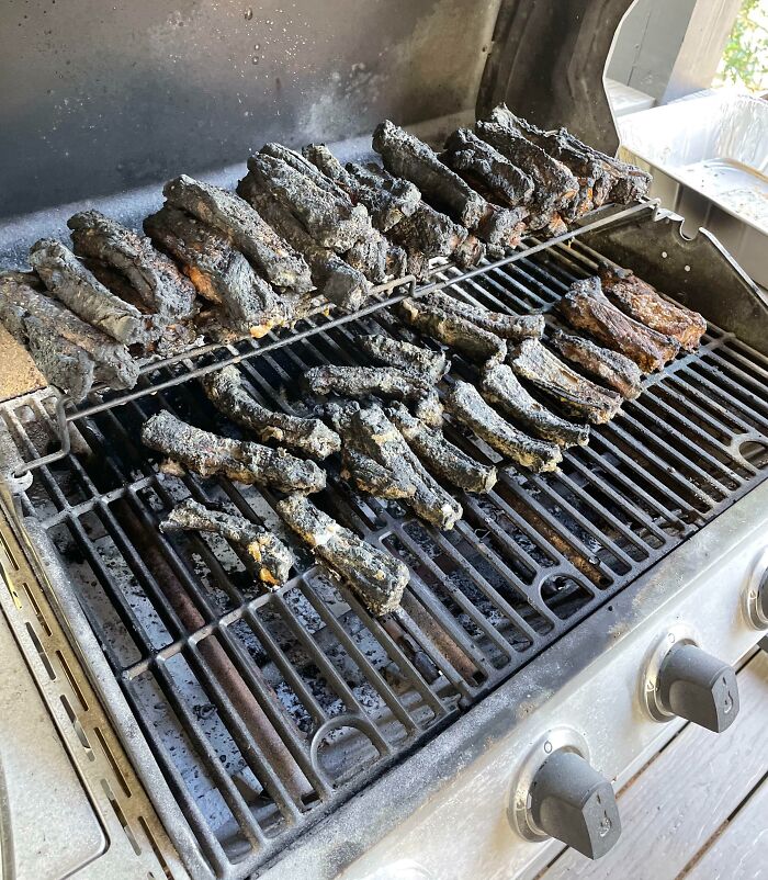 Had A Big Party This Past Weekend. While I Was Greeting Guests I Forgot About The Ribs On The Grill. The Ribs Caught Fire And I Had To Put It Out With A Fire Extinguisher