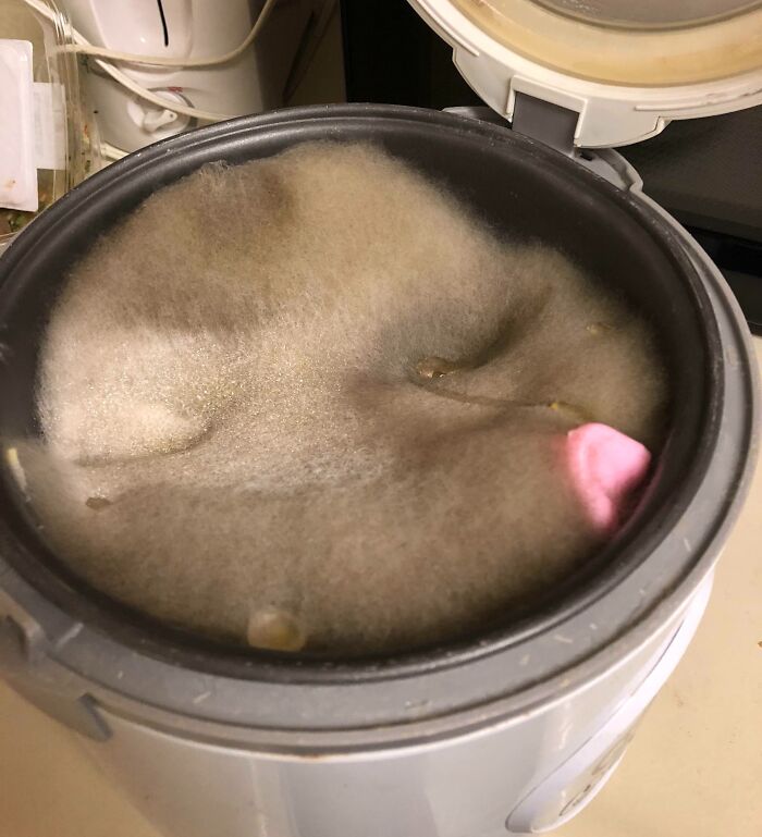 Forgot To Clean The Rice Cooker, Opened It 2 Months Later To See This. Can I Salvage It?