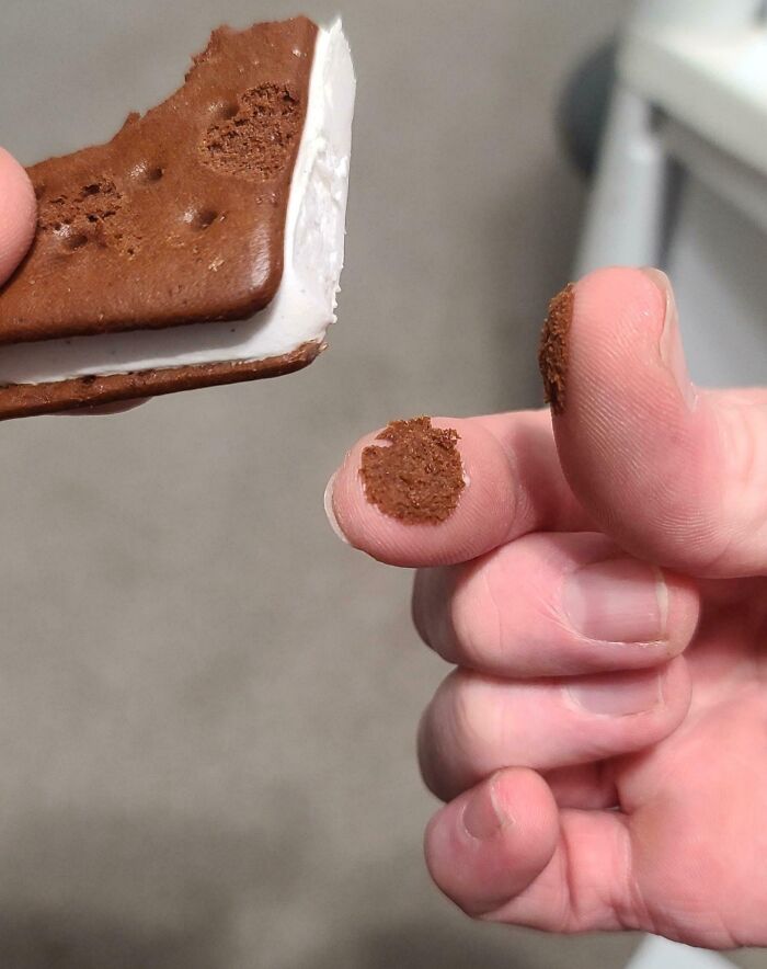 For The 1000th Time, I Made The Mistake Of Touching My Ice Cream Sandwich