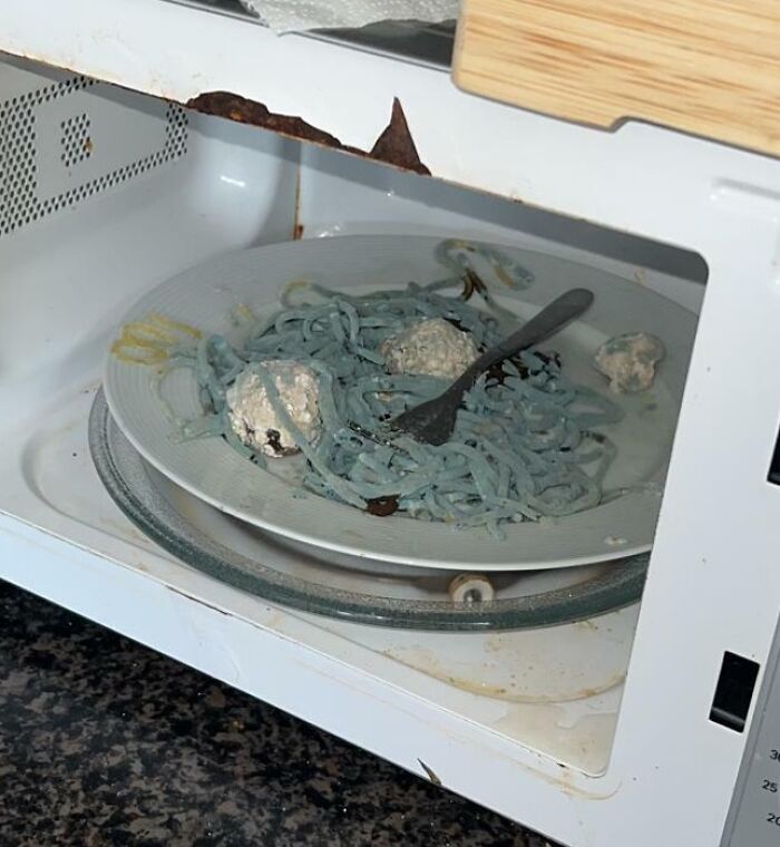 Housemate Heated Up Meatball Spaghetti In A Microwave And Left It There For 3 Weeks