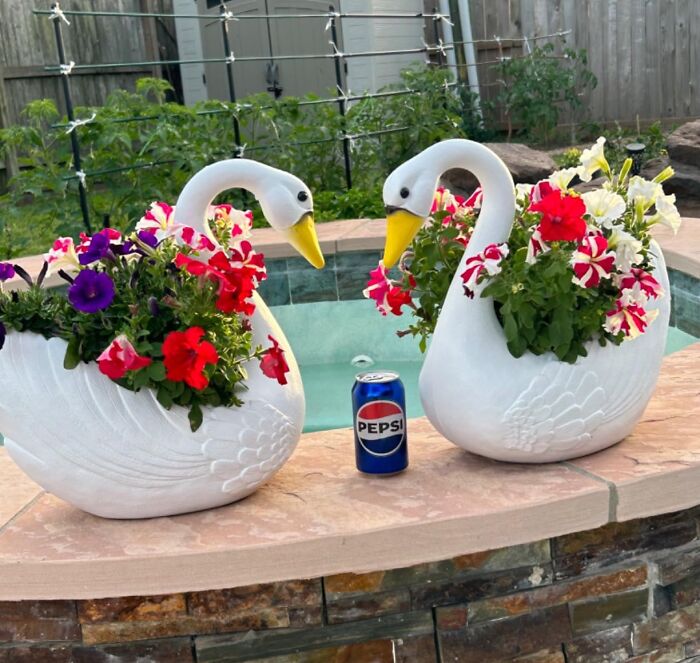 Elegance In Bloom: Classic Swan Planter For Graceful Green Spaces!