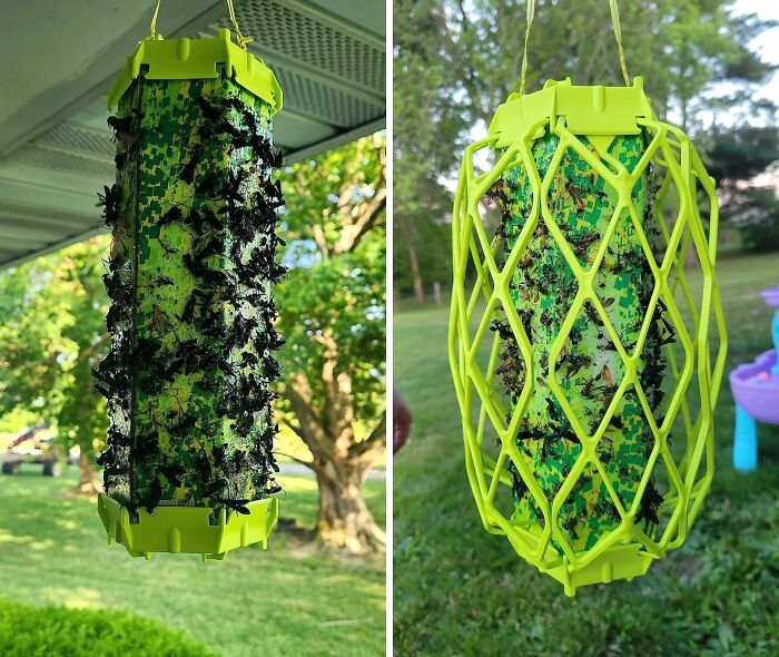 Wasp Woes Begone: Get The Rescue! Trapstik For Pest-Free Peace